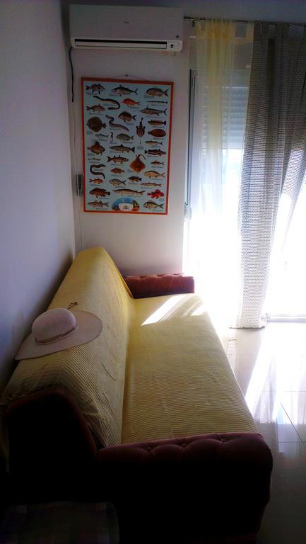 Apartment Feliks Mandre Pokoj fotografie